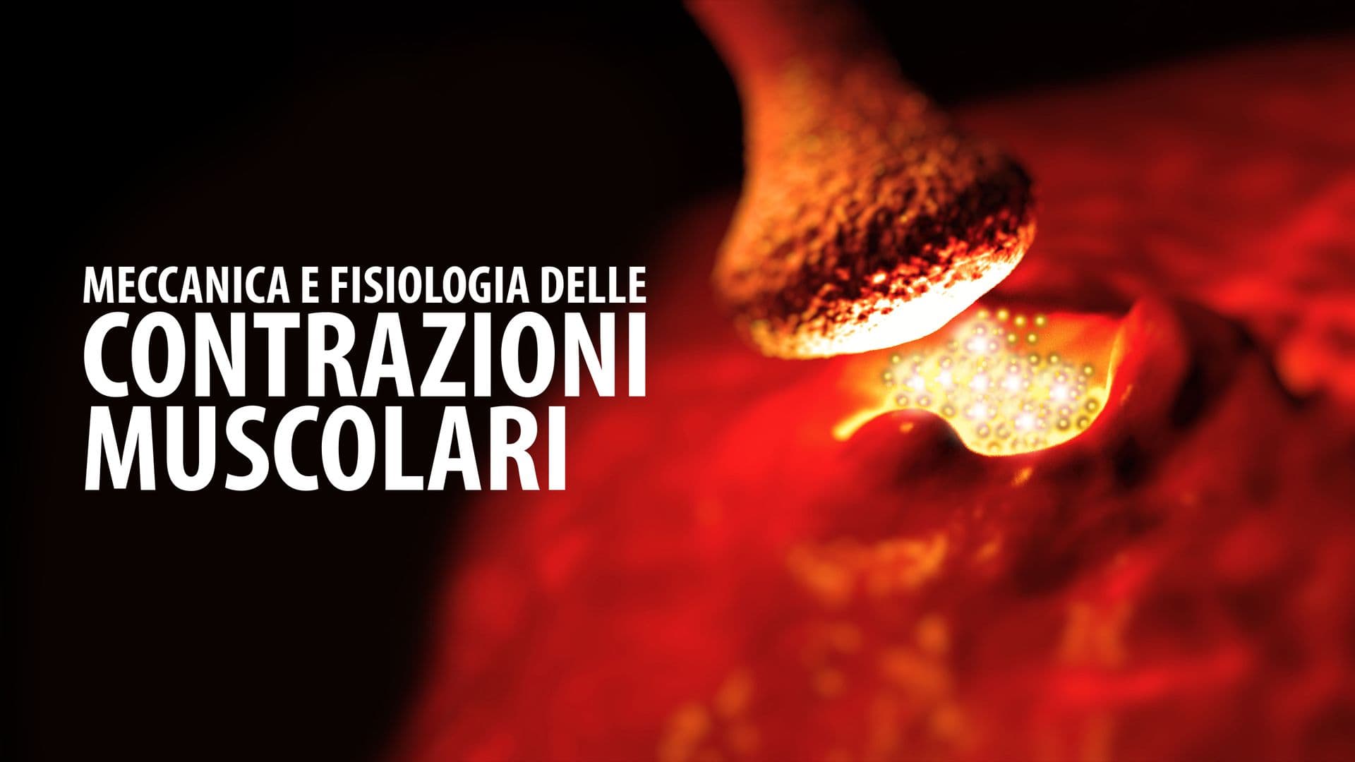 Contrazioni Muscolari