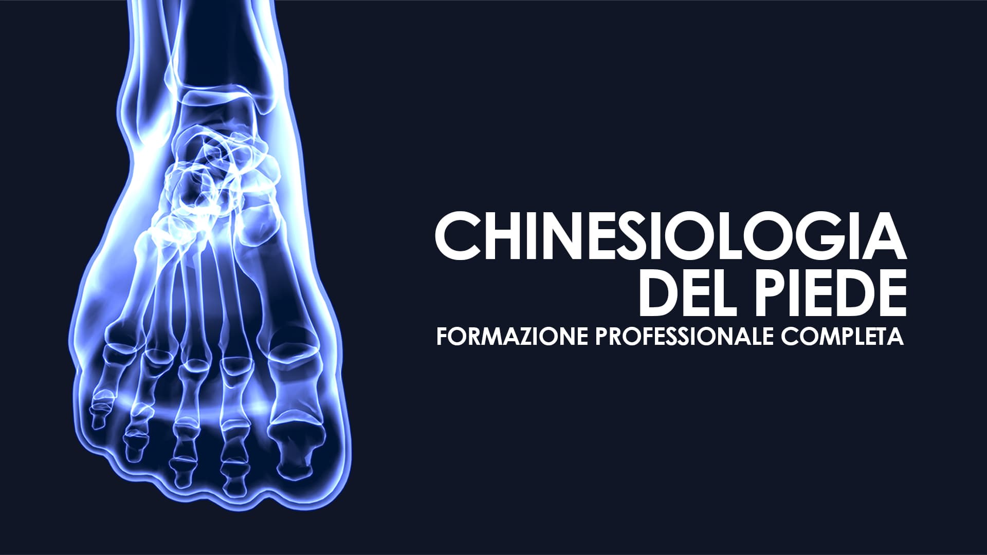 Chinesiologia Del Piede