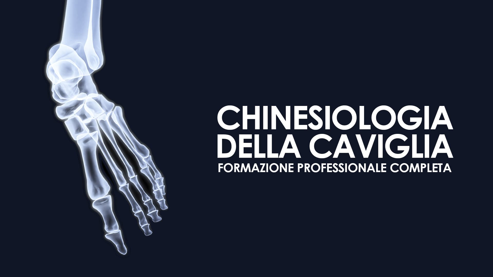 Chinesiologia della Caviglia