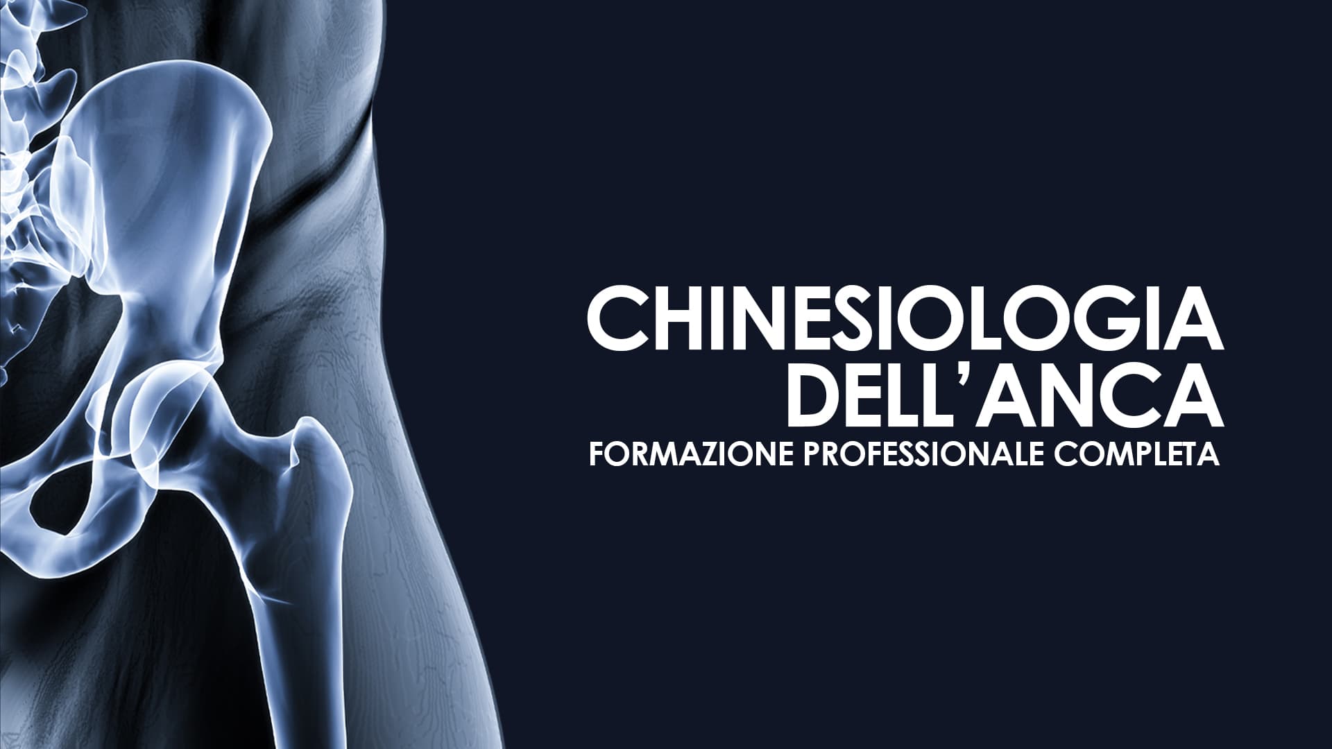 Chinesiologia dell'Anca