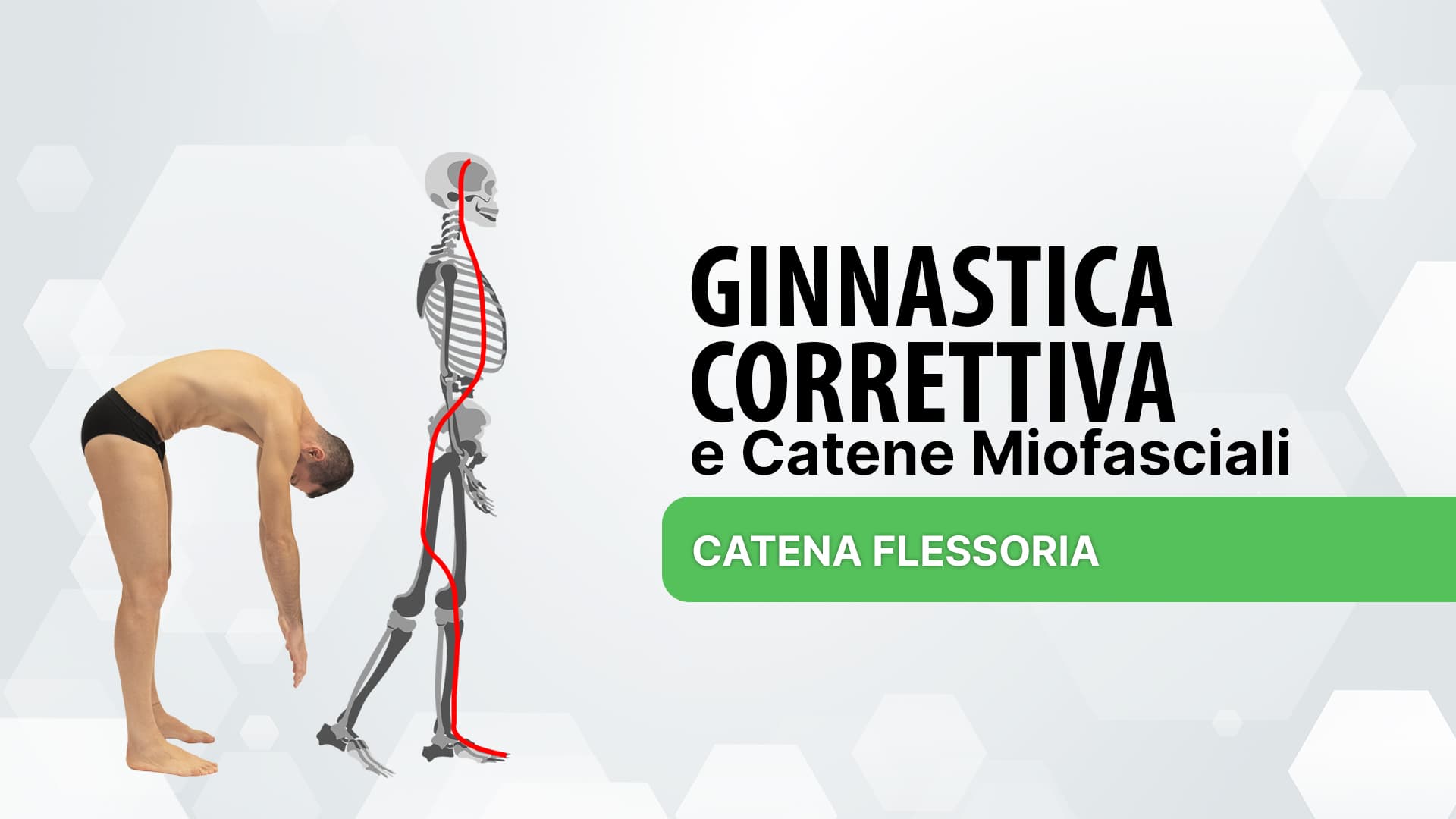 Catena flessoria