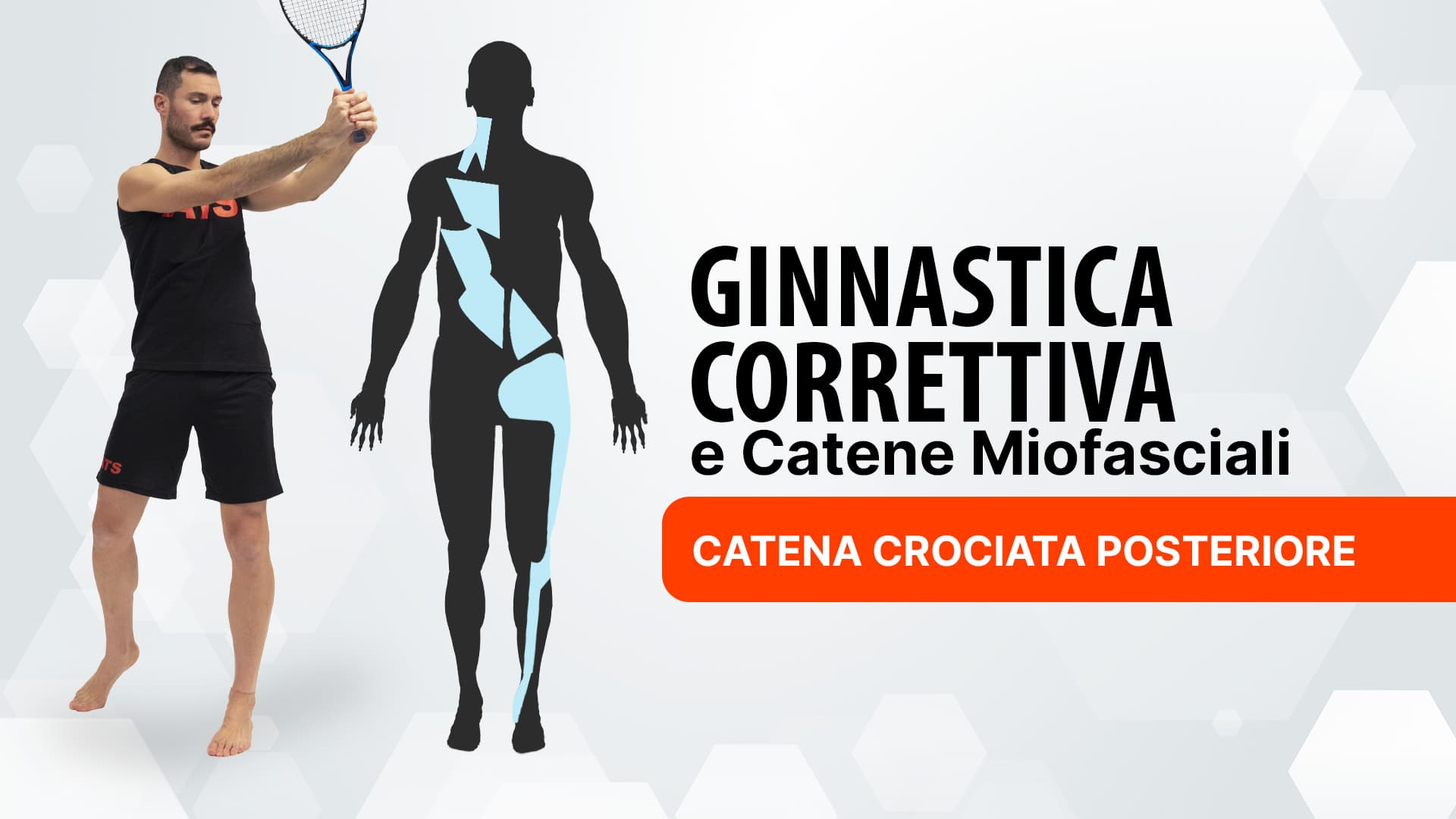 Catena crociata posteriore
