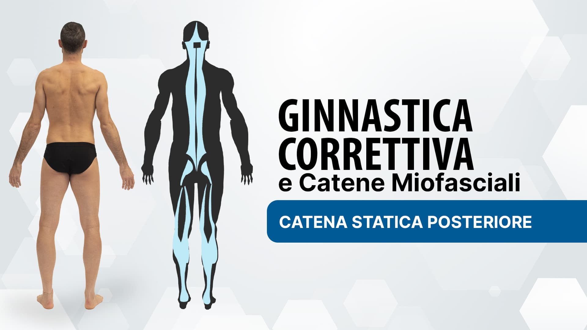 Catena statica posteriore