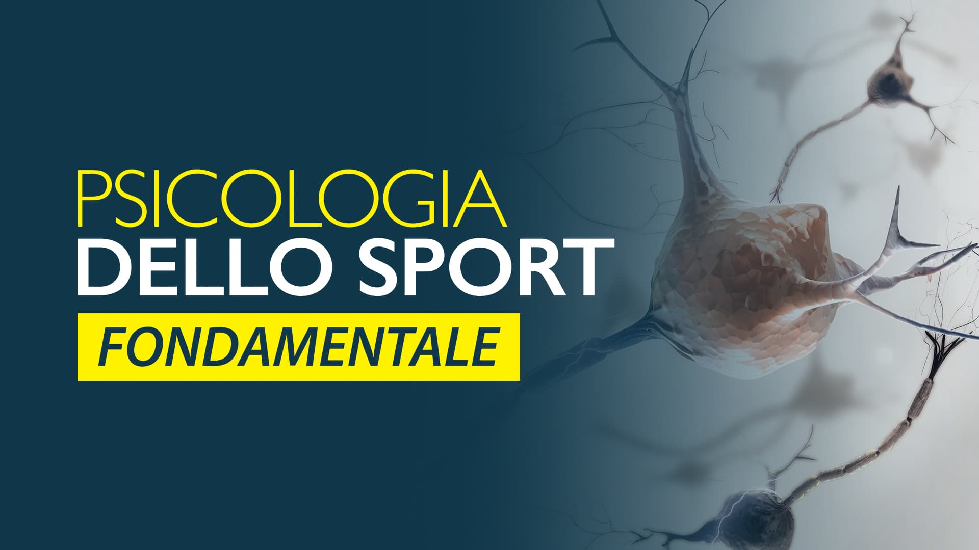Psicologia dello Sport Fondamentale