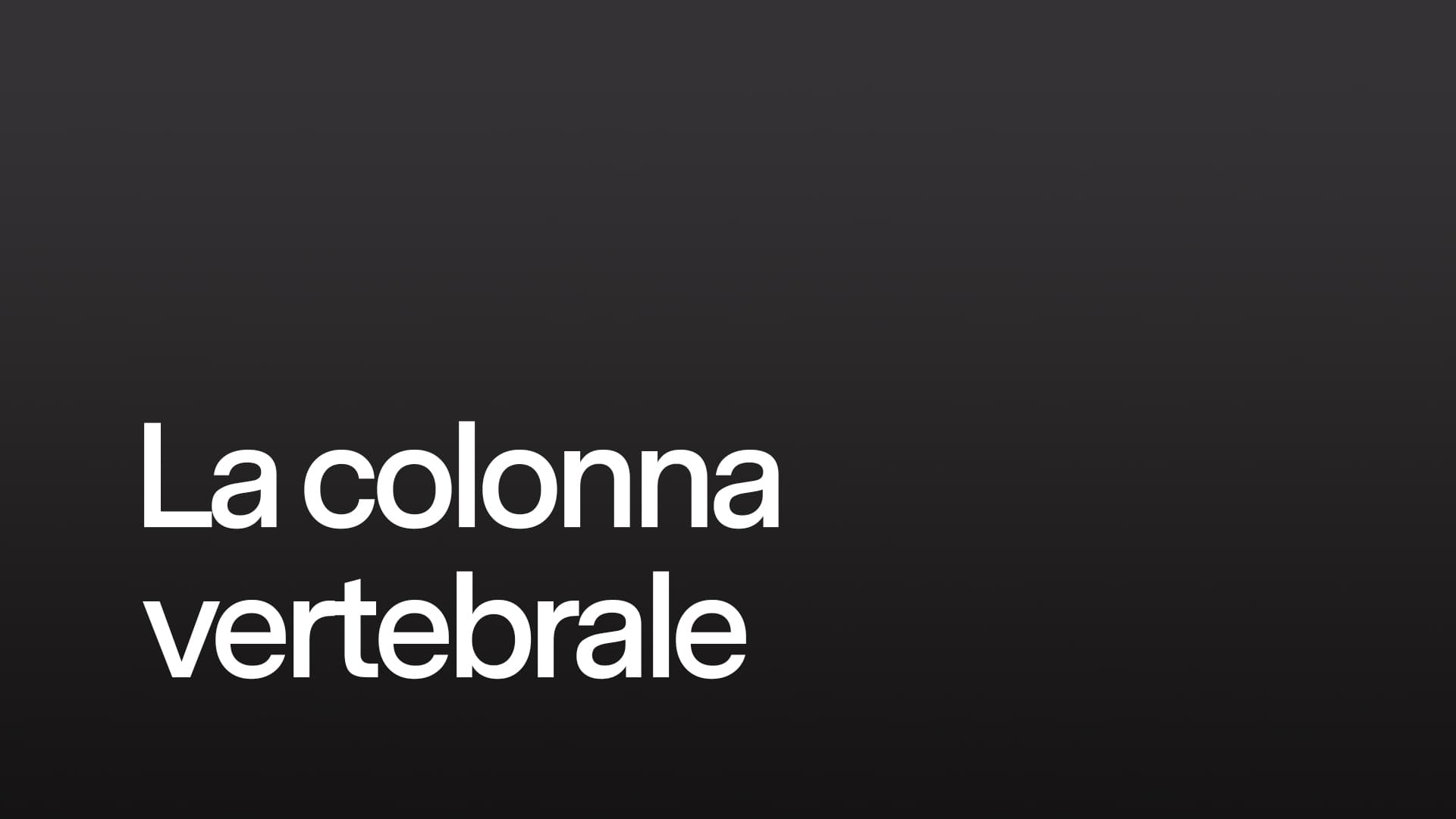 La colonna vertebrale