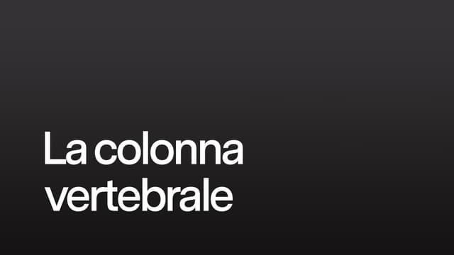 La colonna vertebrale