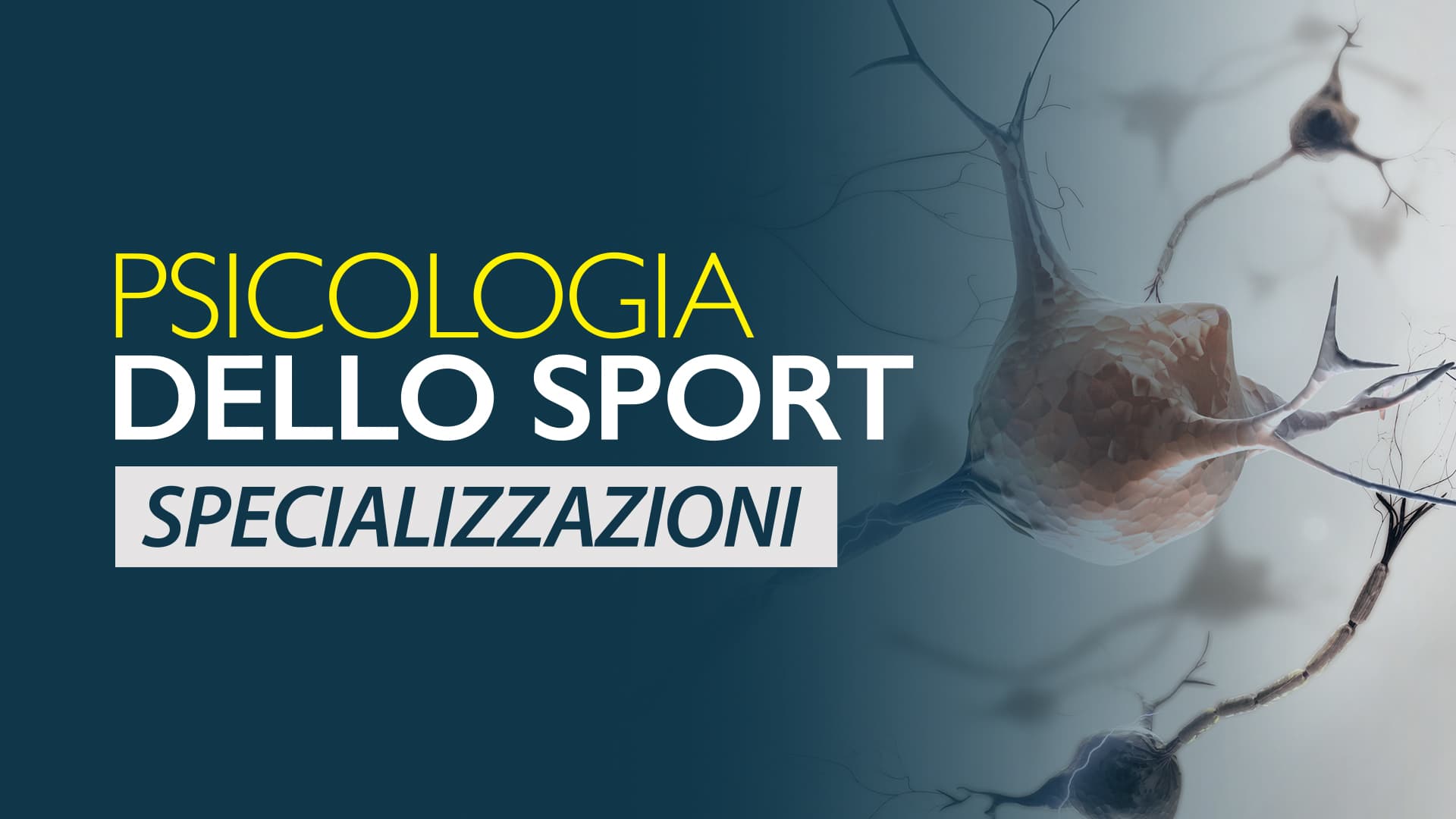 Psicologia dello Sport Specializzazioni